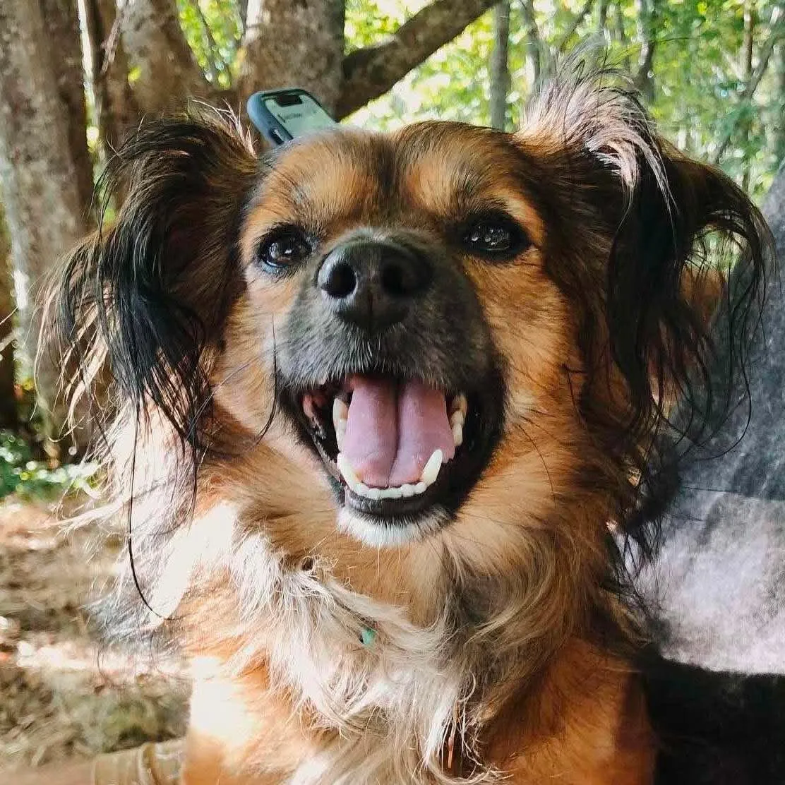Reference photo of Bernie
