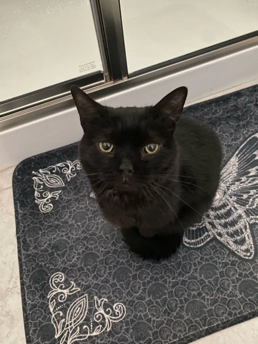 Reference photo of Bug